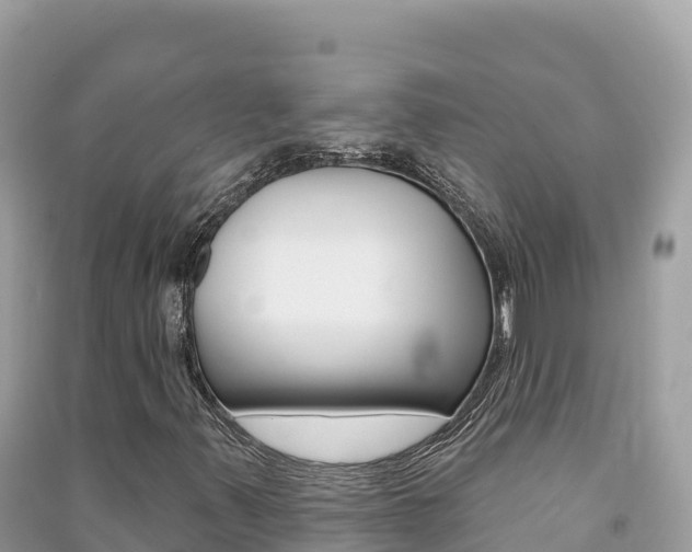 X0000091311347200708101100