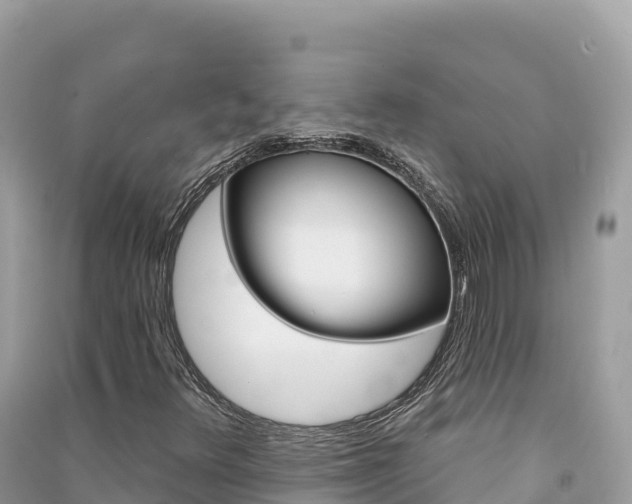 X0000091311348200708101100