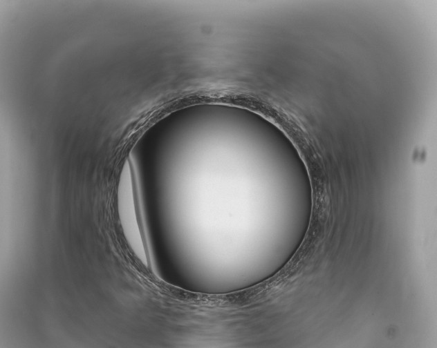 X0000091311349200708101100