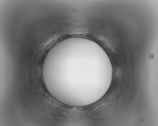 X0000091311350200708101100