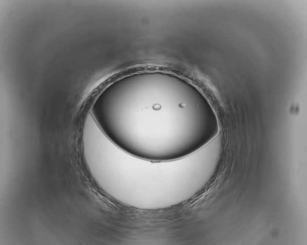 X0000091311352200708101100