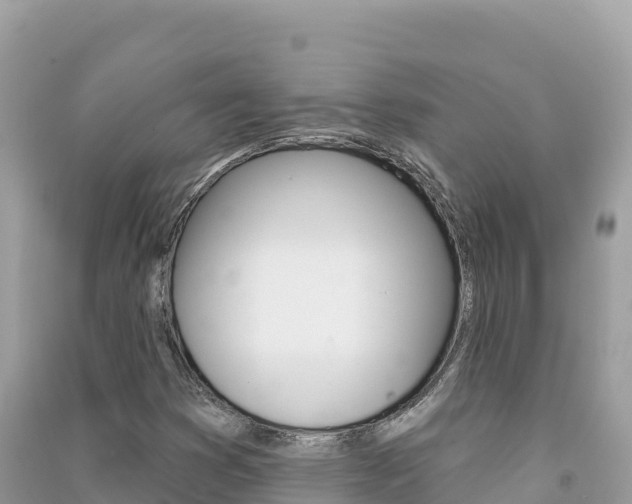 X0000091311353200708101100