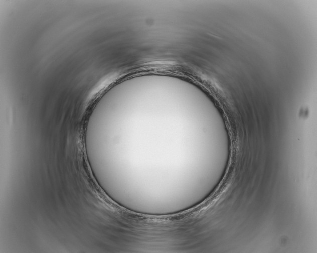 X0000091311354200708101100