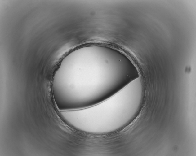 X0000091311355200708101100