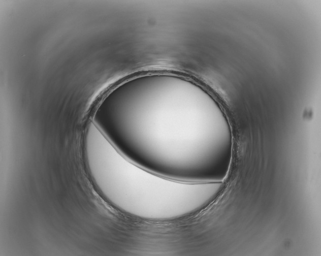 X0000091311356200708101100