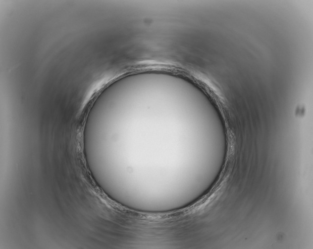 X0000091311357200708101100