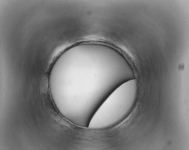 X0000091311358200708101100