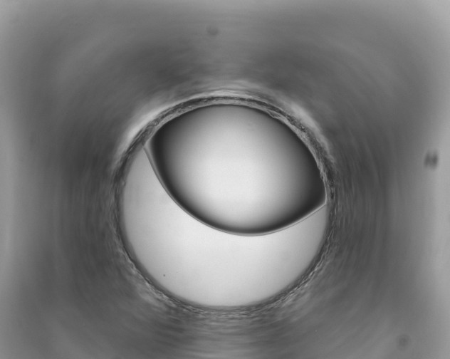 X0000091311360200708101100