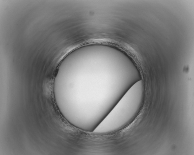X0000091311361200708101100