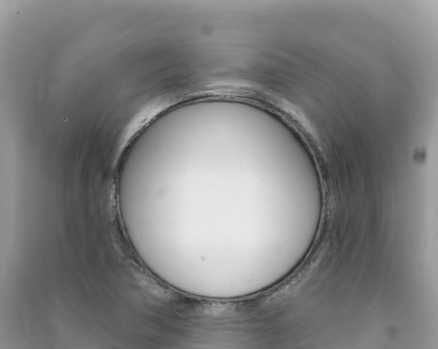 X0000091311362200708101100