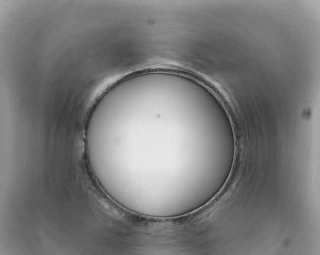 X0000091311363200708101100