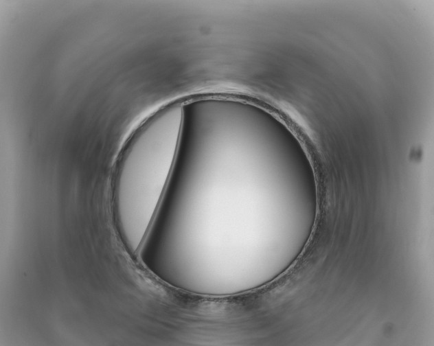 X0000091311364200708101100