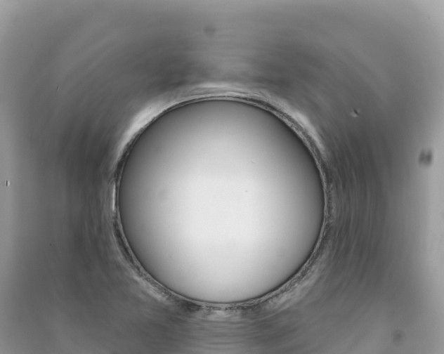 X0000091311365200708101100