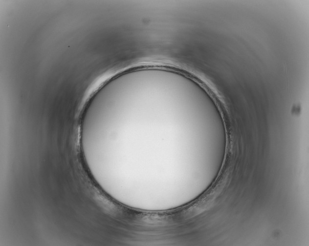 X0000091311366200708101100