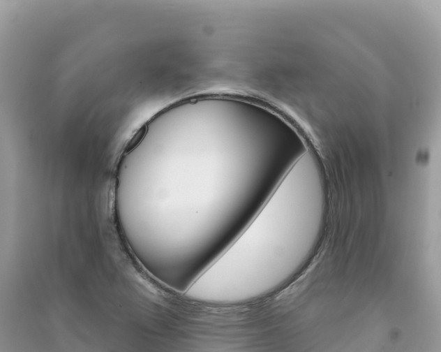 X0000091311367200708101100