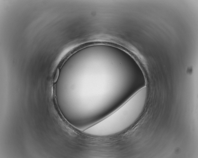 X0000091311368200708101100