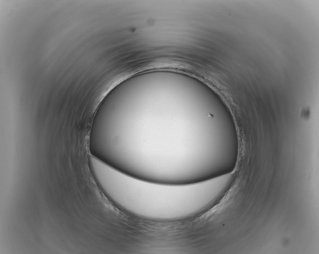 X0000091311369200708101100