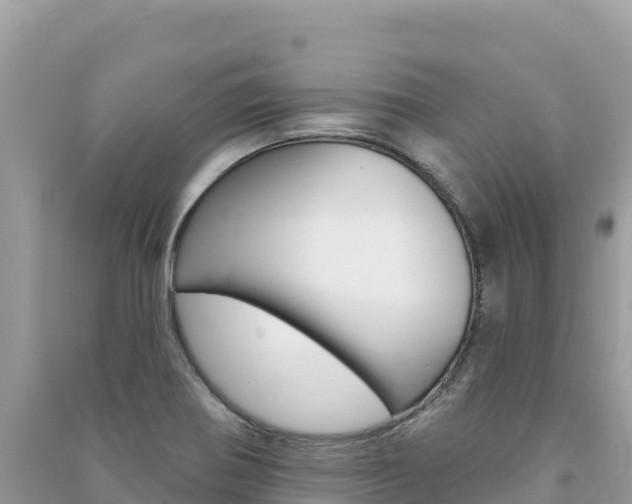 X0000091311370200708101100