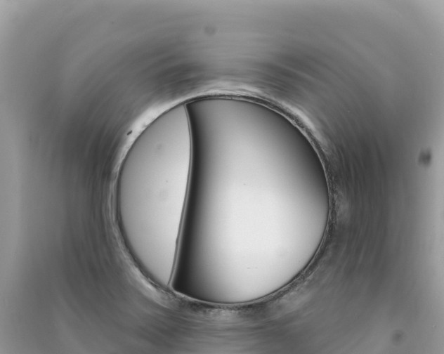 X0000091311371200708101100