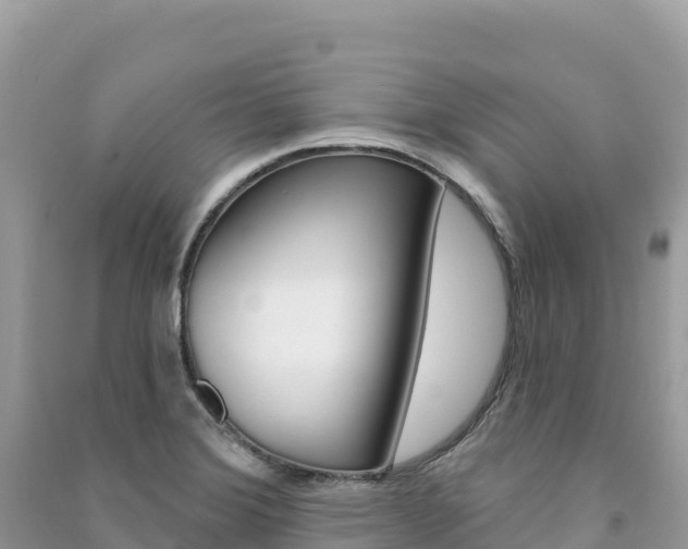 X0000091311372200708101100