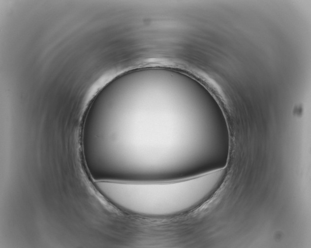 X0000091311373200708101100