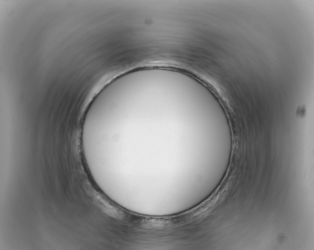 X0000091311374200708101100