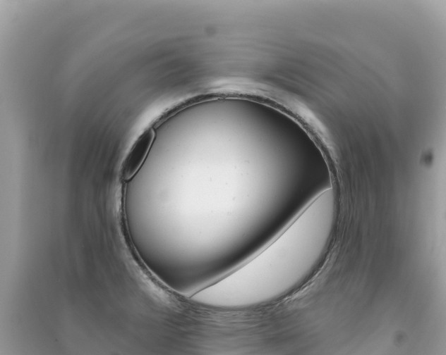 X0000091311376200708101100