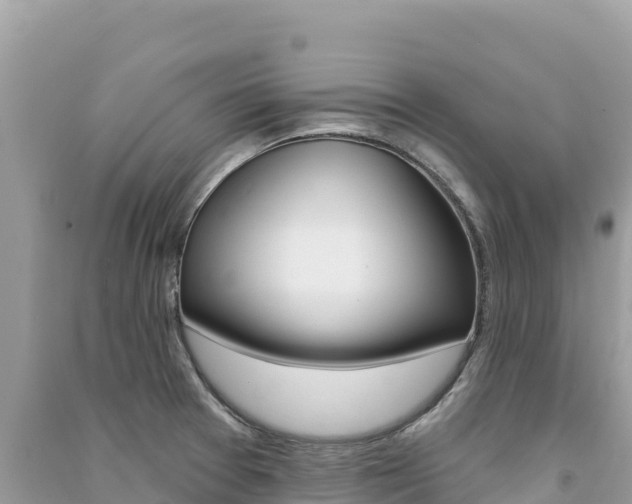 X0000091311377200708101100