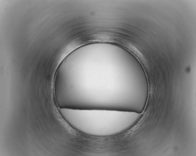 X0000091311378200708101100