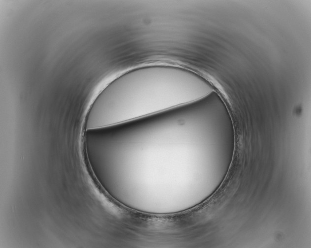 X0000091311379200708101100