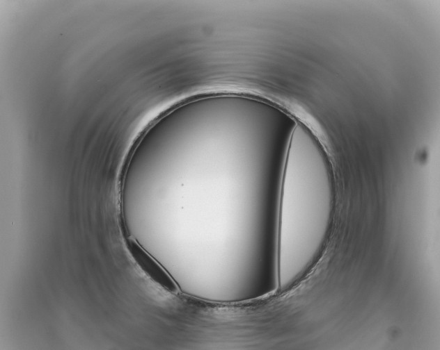X0000091311380200708101100