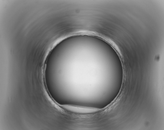 X0000091311381200708101100