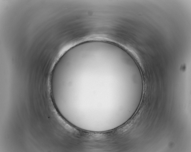 X0000091311382200708101100
