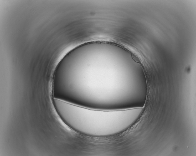 X0000091311383200708101100