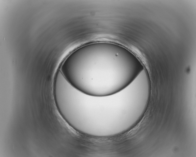 X0000091311384200708101100