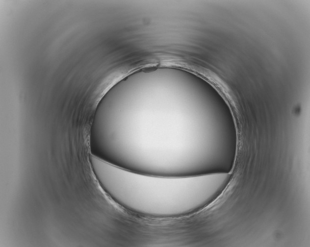 X0000091311385200708101100