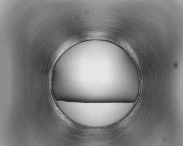X0000091311386200708101100