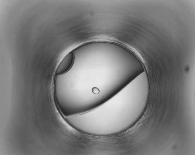 X0000091311387200708101100