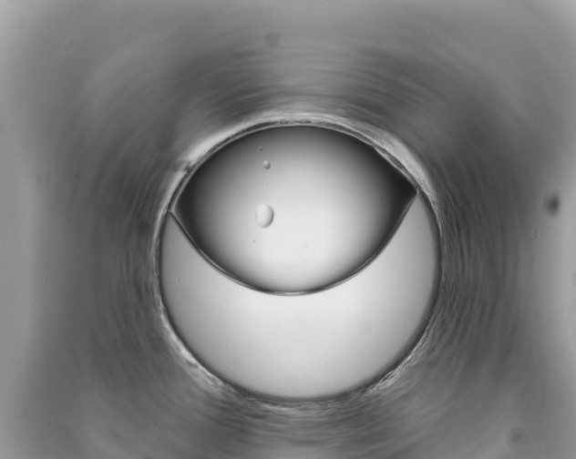 X0000091311388200708101100