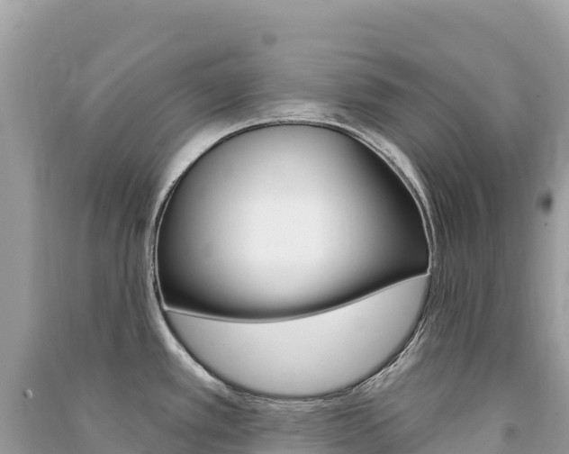 X0000091311389200708101100