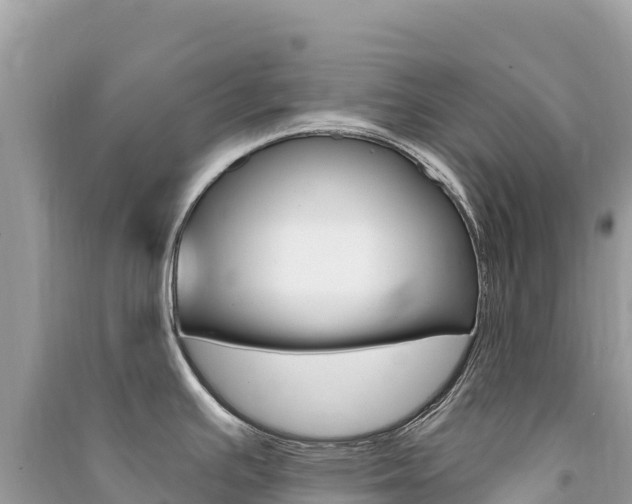 X0000091311391200708101100