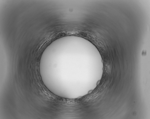X0000091311393200708101059
