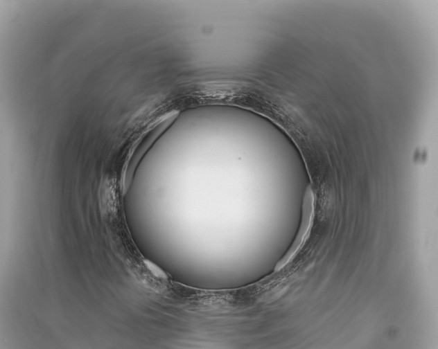 X0000091311394200708101059