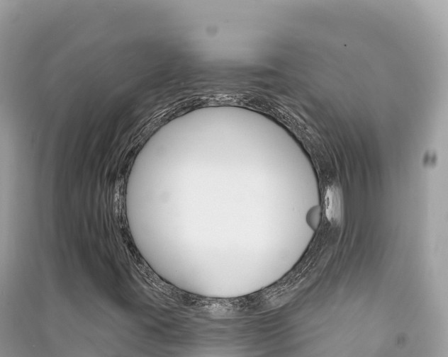X0000091311395200708101059