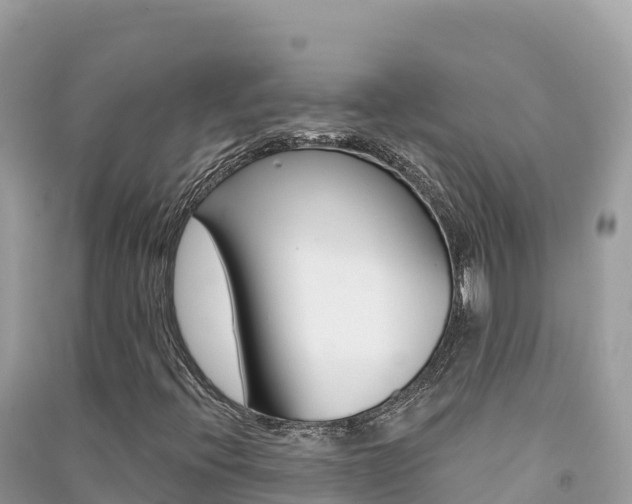 X0000091311396200708101059