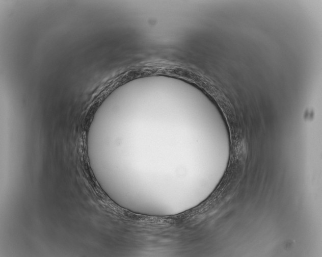 X0000091311397200708101059