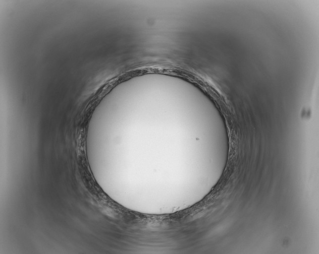X0000091311399200708101059