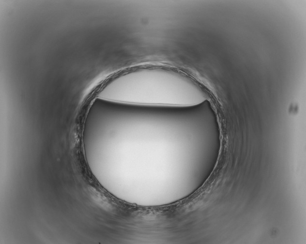 X0000091311400200708101059