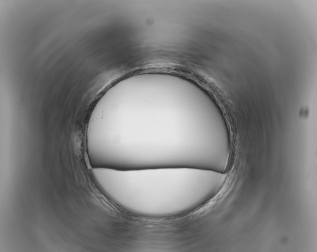 X0000091311401200708101059