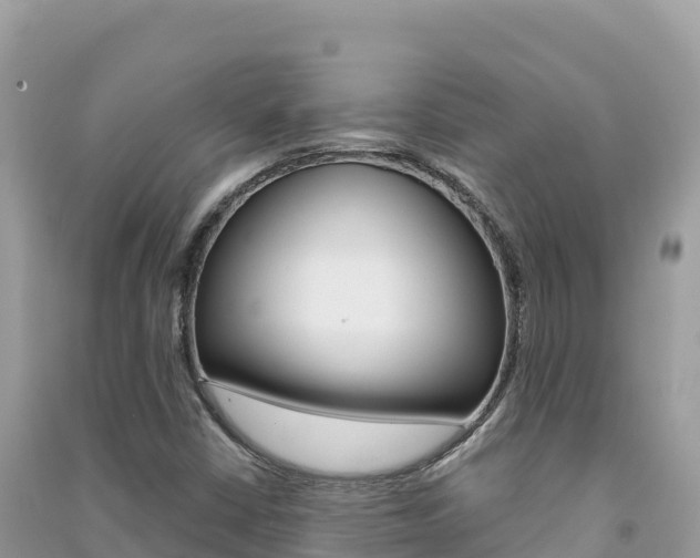X0000091311402200708101059